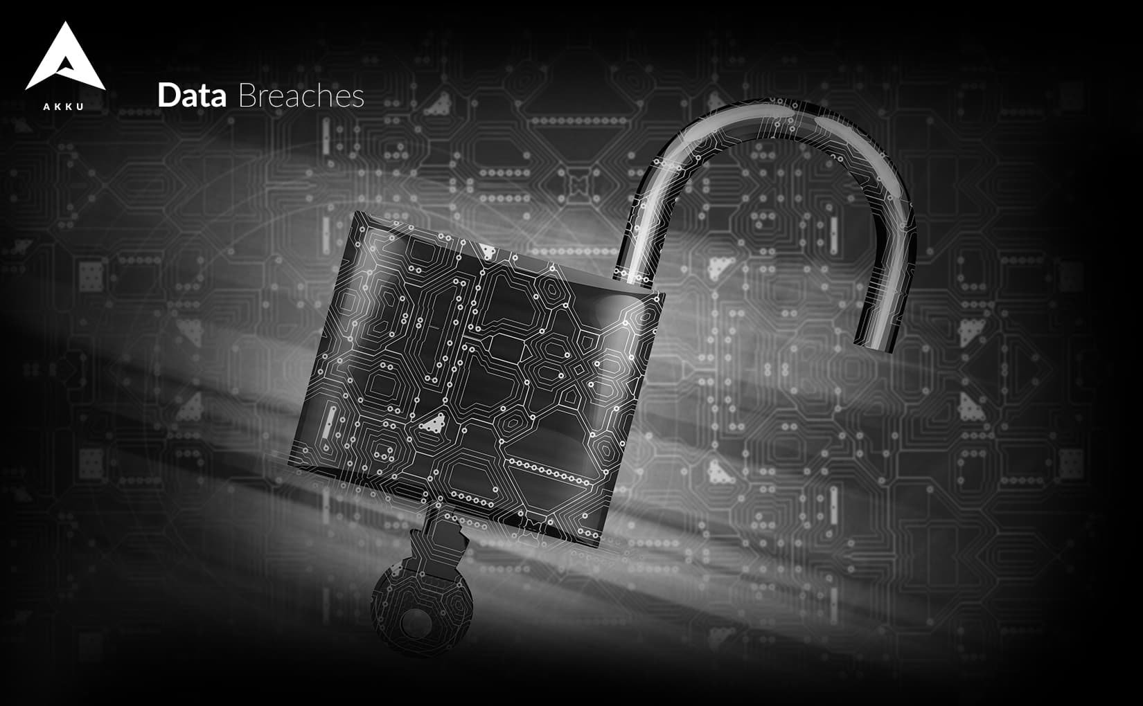 Why data breaches happen &amp; what you can do to stop them
